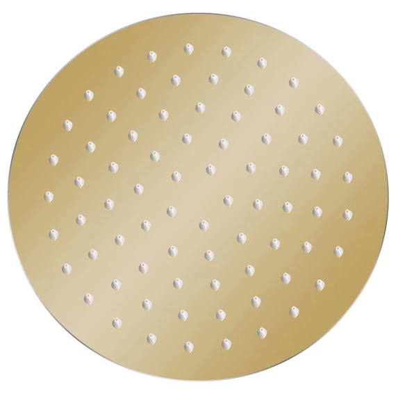 vidaXL aranyszí­nű kerek rozsdamentes acél esőztető zuhanyrózsa 20 cm